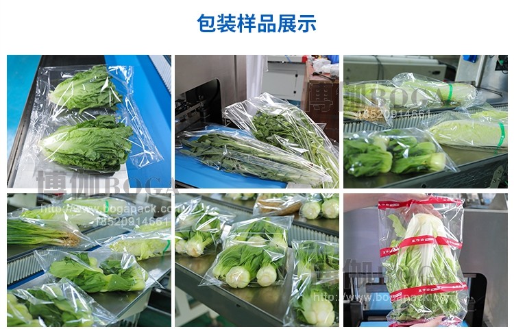 蔬菜包裝樣品 蔬菜包裝樣品