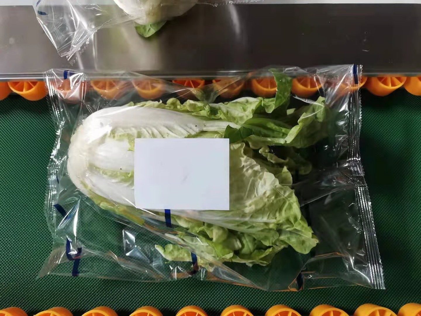 蔬菜包裝機(jī)樣品